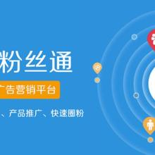 上海火速網(wǎng)絡(luò)科技股份 數(shù)據(jù)科技領(lǐng)域的技術(shù)服務(wù)先鋒